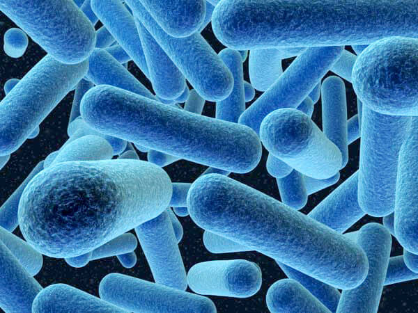 bad-breath-causing-bacteria.jpg