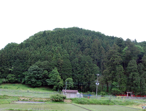 160526桜葉神社2