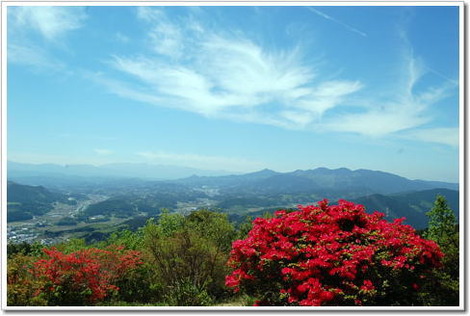 13.5.12鳥見山から2