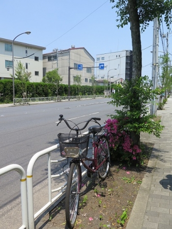 東京