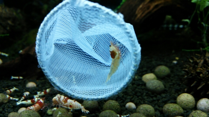 DSC_2538.jpg
