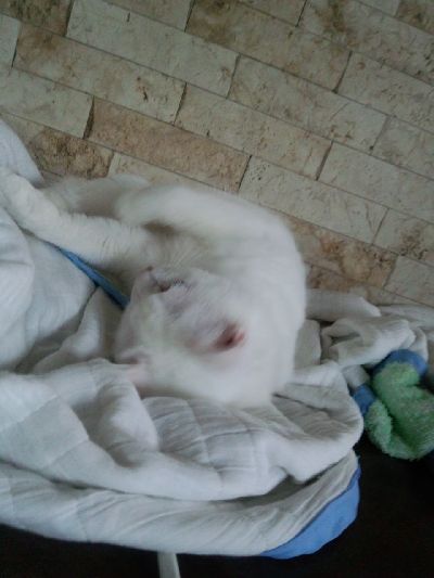 20160514-1.jpg