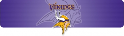 Vikings Banner