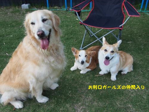 お利口ガールズの仲間入り