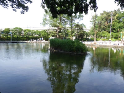 赤塚公園 (8)