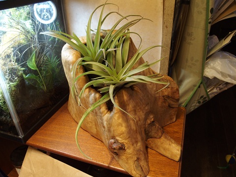 5_201605121031214b9.jpg