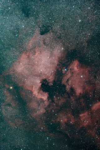 NGC7000_R.jpg