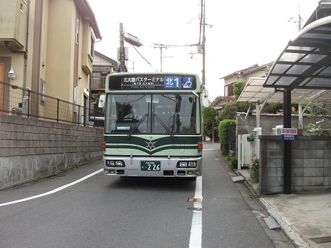 ky-bus-n1-1.jpg
