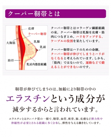 lunaクーパー靭帯