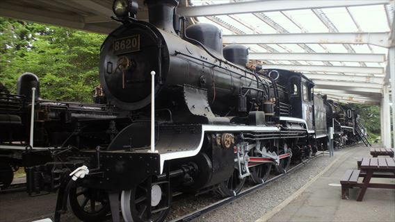 8620.jpg
