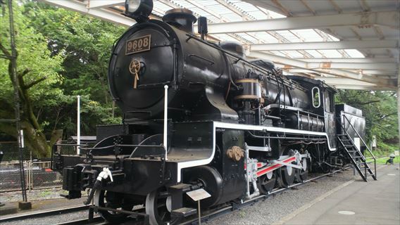 9608.jpg