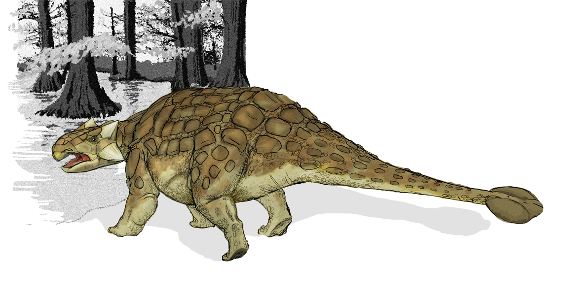 Ankylosaurus_dinosaur.png
