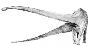 Sketchmamenchisaurus.jpg