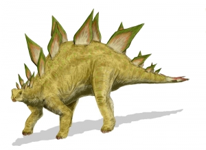 Stegosaurus_BW.jpg