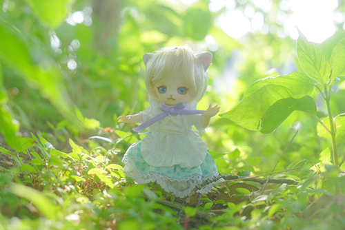 オビツ11ボディ、PARABOXヒカリちゃんヘッドをカスタムして作った猫っ子ポーの小さな冒険
