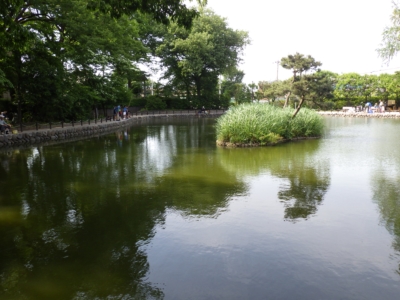 赤塚公園 (5)