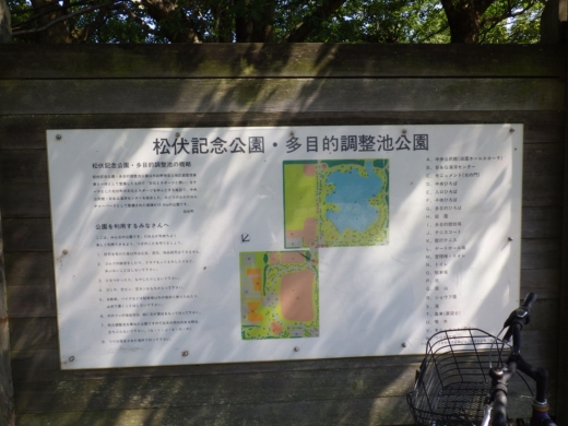 松伏総合公園 (7)